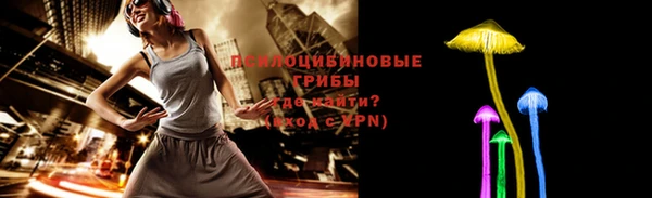 ешки Бронницы